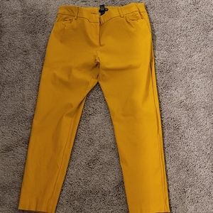 XL wearever mustard capri